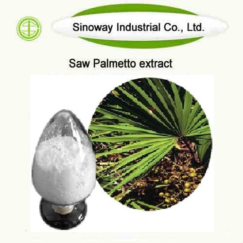 SAW PALMETTO EXTRACT 84604_15_9